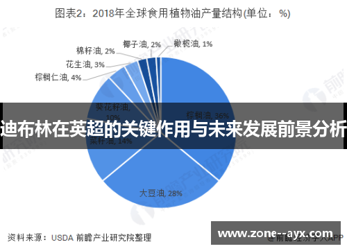 迪布林在英超的关键作用与未来发展前景分析 迪布林在英超的关键作用与未来发展前景分析