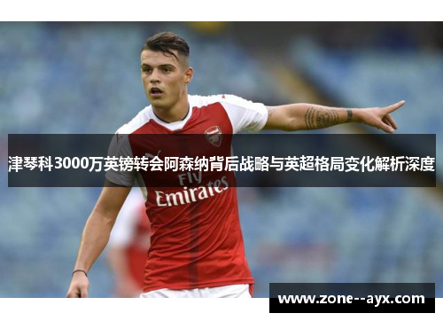 津琴科3000万英镑转会阿森纳背后战略与英超格局变化解析深度 津琴科3000万英镑转会阿森纳背后战略与英超格局变化解析深度
